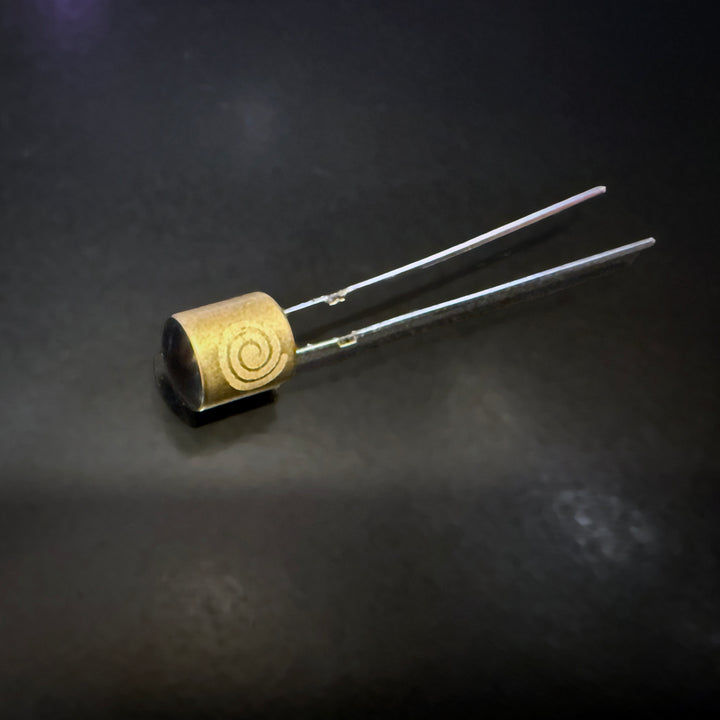 Starbird Fuzzstortion